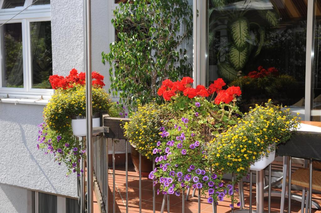 Hotel Ortel Gmbh Besigheim Zewnętrze zdjęcie